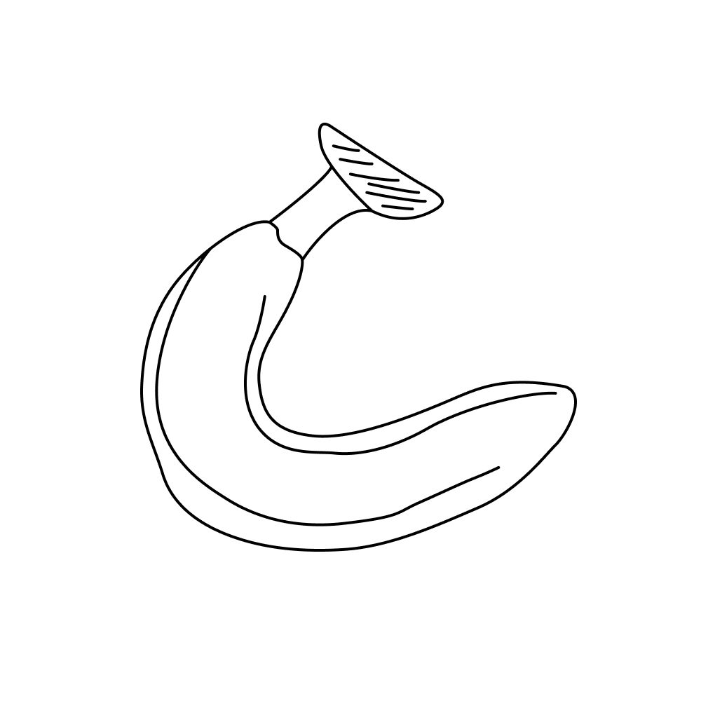 Plain Fruit Banana_outlined